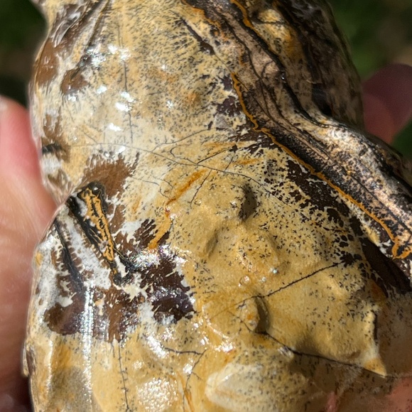 Picture jasper (1) owl craving | crystal - Picture 10 of 12